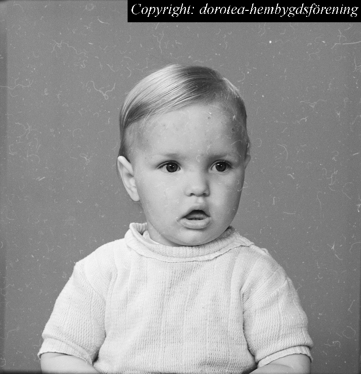 B-1954-gena påhlsson webb